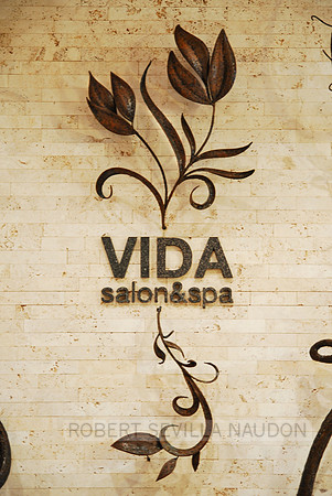 Vida Sculpted Steel-1916