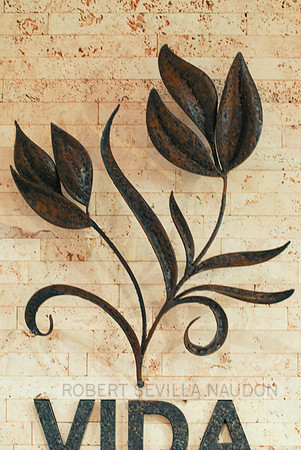Vida Sculpted Steel-1917